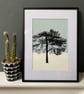 Ashdown Pine no.61, A4 size, original artwork, hand painted, blue - Image 2