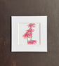 'Echinacea' 5" x 5" Mounted Print