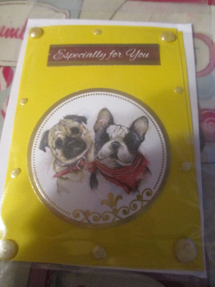 Especially for You Dogs Small Card