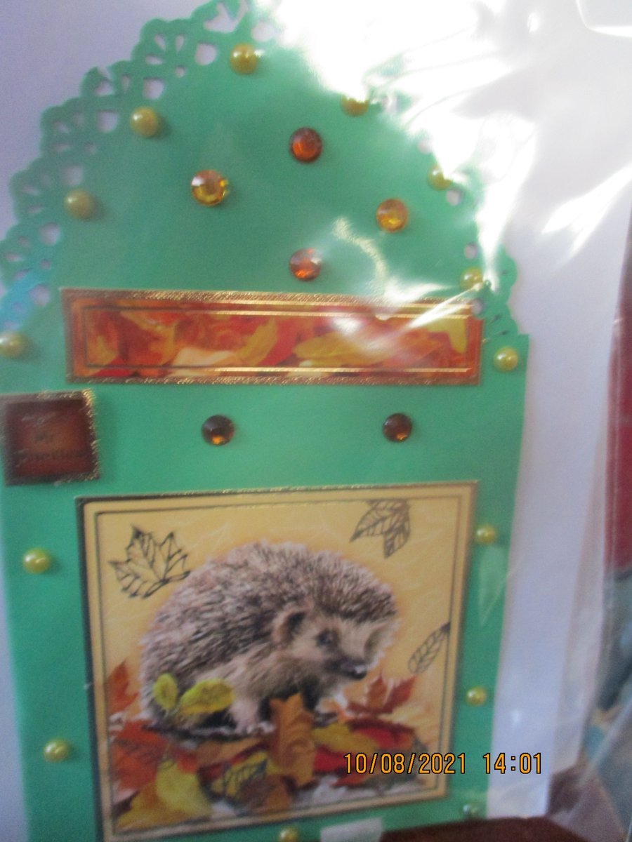 Hello Mr Pickles Hedgehog Card