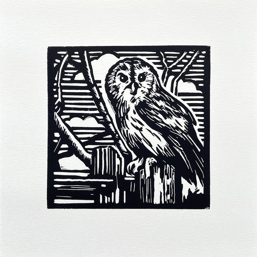 Tawny Owl - Linocut Print