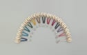 Cowrie shell earrings