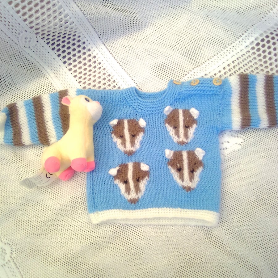 Round Neck Jumper with Badger Design for Babies and Toddlers, Novelty Jumper