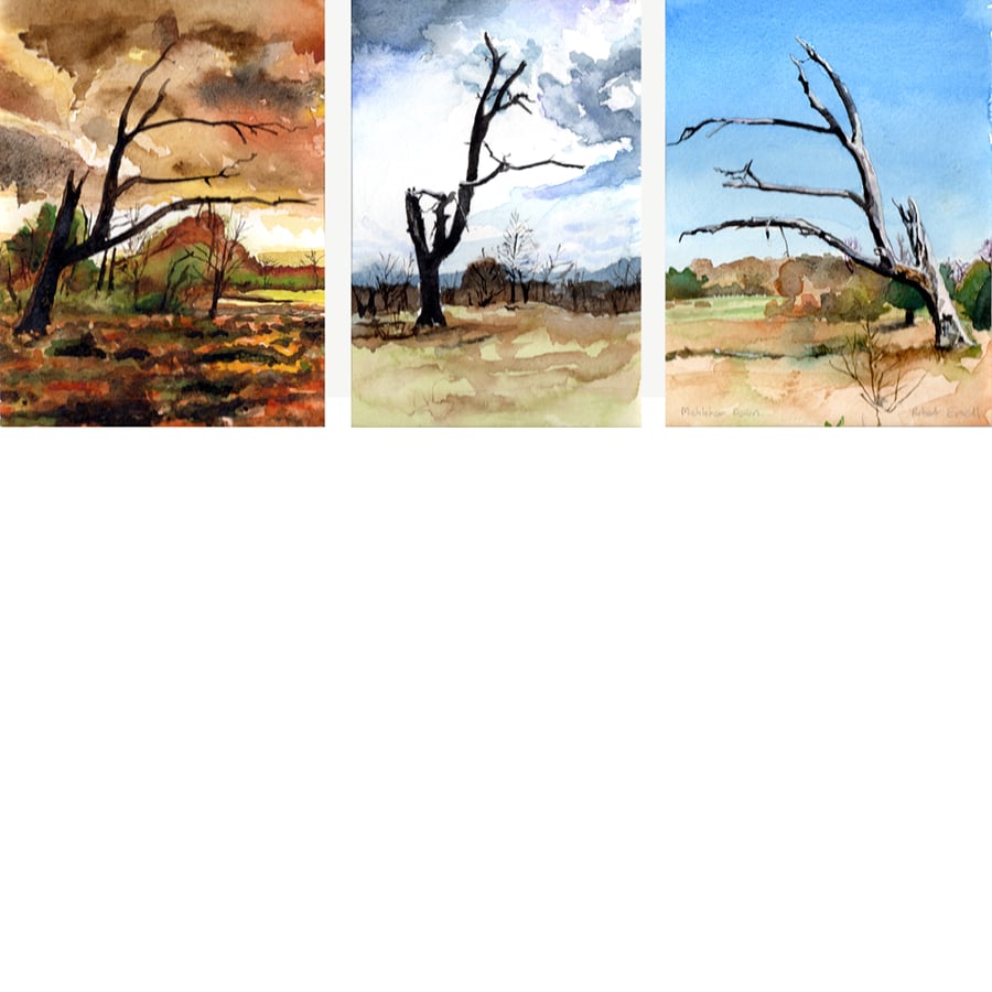 Mickleham Down, tree triptych. Signed, original watercolour painting.
