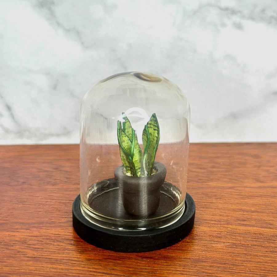 Handmade Miniature Snake Plant in a bell jar, 1:12 Dollhouse plant