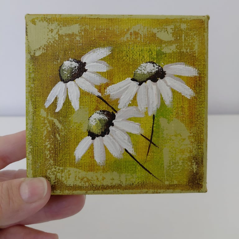 Original White Daisies Small Hand Painted Canvas Painting