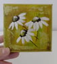Original White Daisies Small Hand Painted Canvas Painting