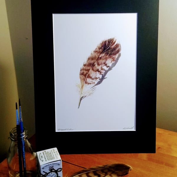 A4 signed print of an original painting - A Buzzard Feather
