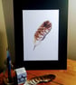 A4 signed print of an original painting - A Buzzard Feather
