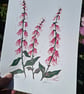 'Foxgloves' An original linoprint of foxgloves in three colours. - Image 2