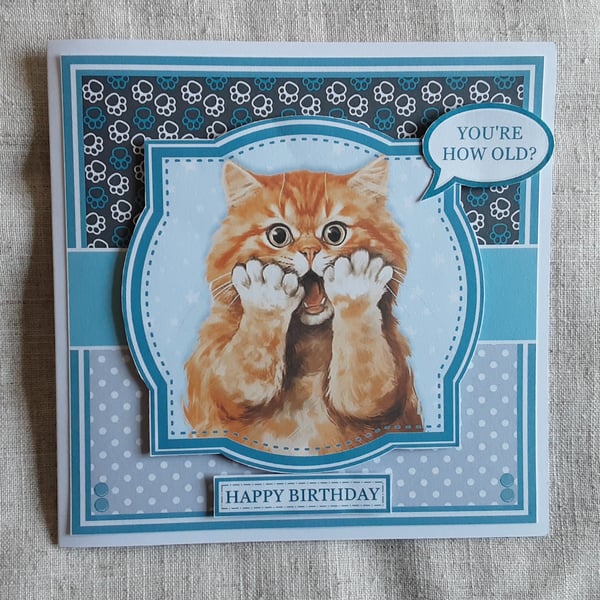 Hilarious Cat Birthday Card: Blank Inside, ginger and tabby cats