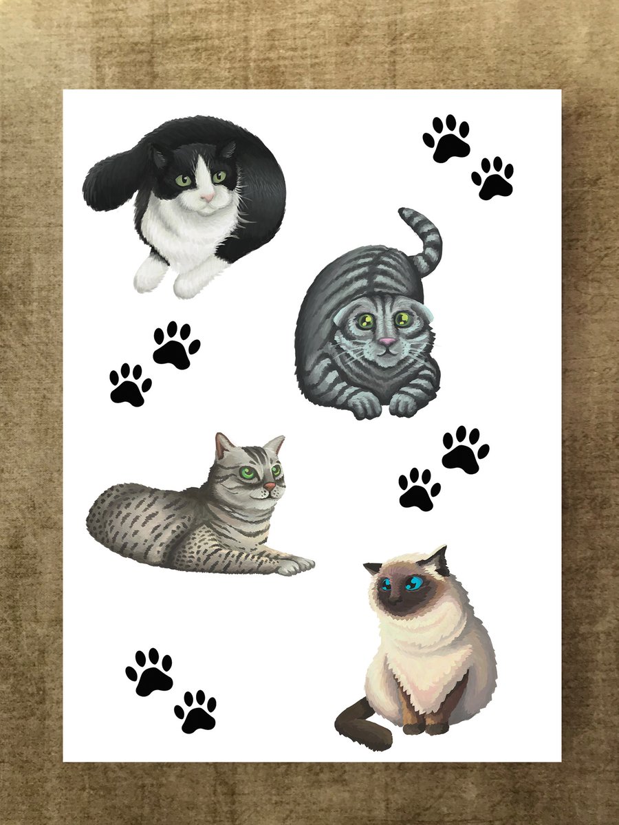 Cats A6 Notebook 