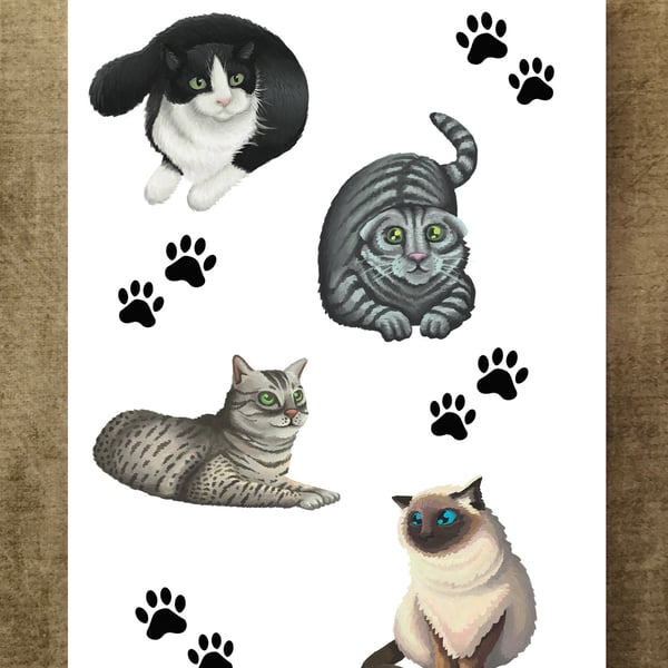 Cats A6 Notebook 