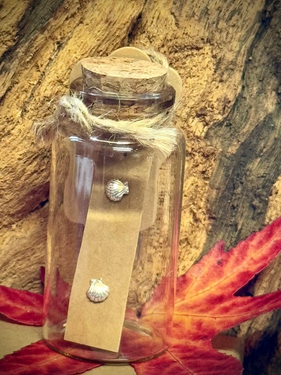 Tiny silver shell stud earrings in a jar 