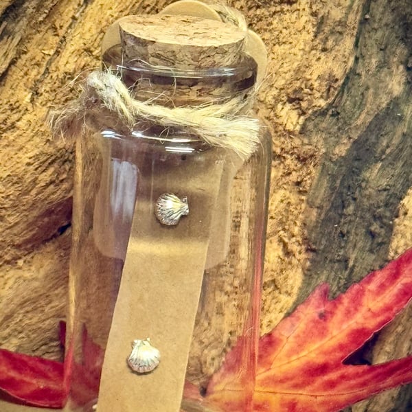 Tiny silver shell stud earrings in a jar 