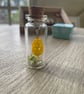 Chick in the bottle  - Image 3
