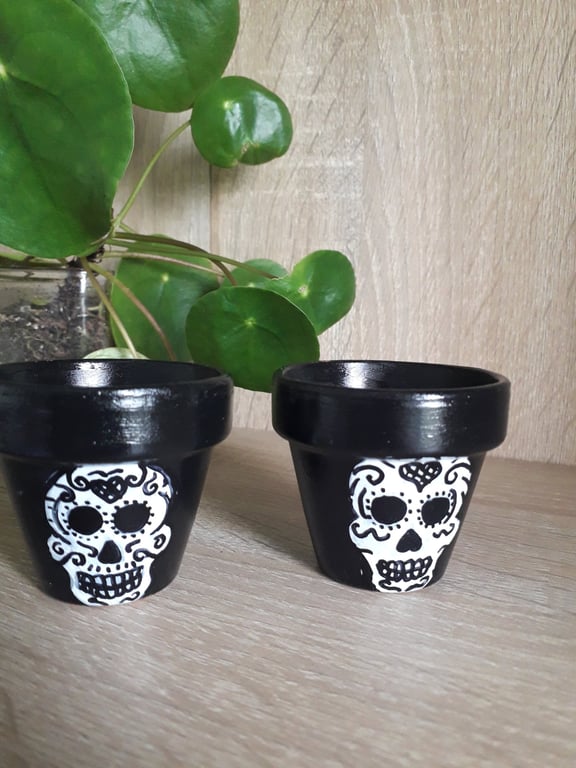 Pair of small terracotta plant pots hand drawn with decorative skulls.  