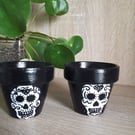 Pair of small terracotta plant pots hand drawn with decorative skulls.  