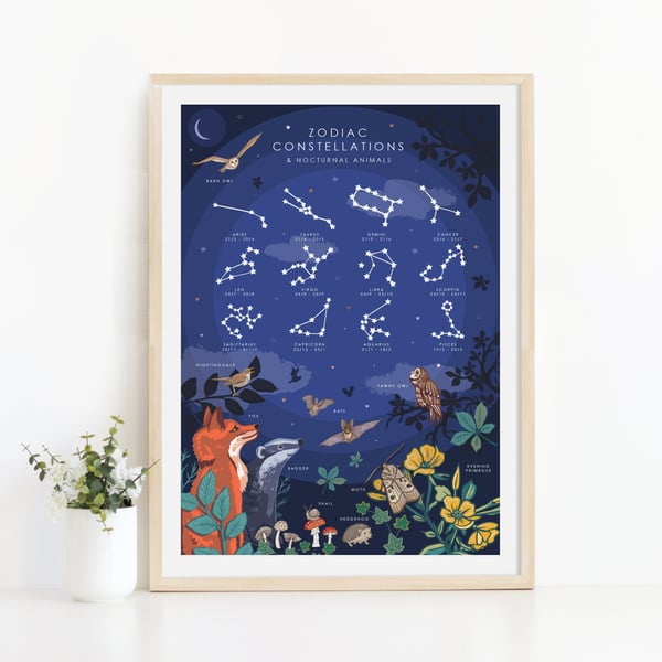 Zodiac Constellations & Nocturnal Animals Illustration Print