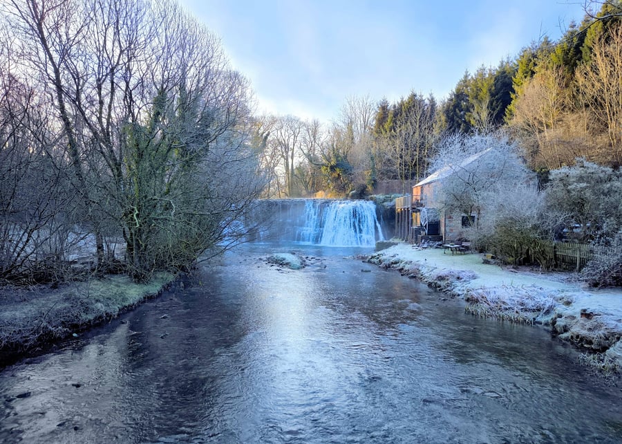 Rutter Force