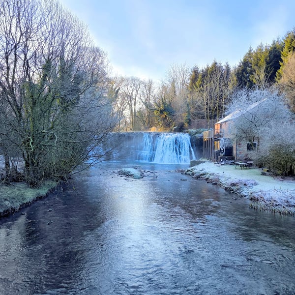 Rutter Force