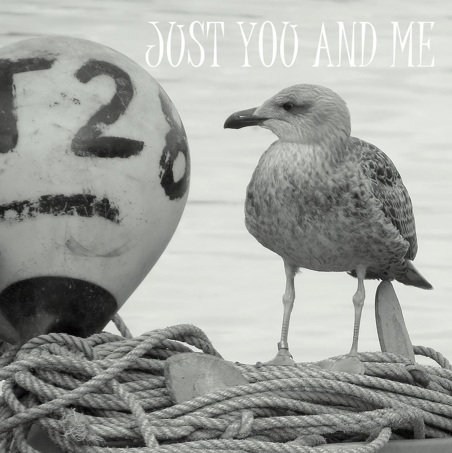 ''Just you and me.''  A card featuring an original photograph.