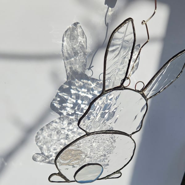 Rabbit 