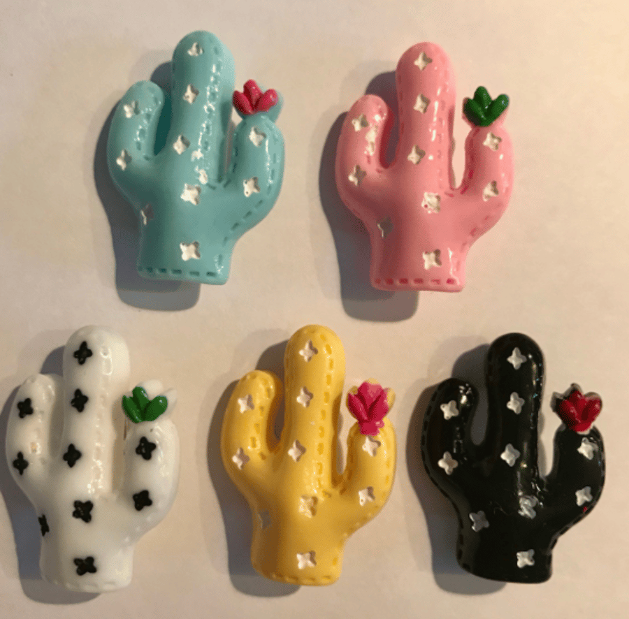 Cactus Cacti Resin Brooch Kitsch 5 colours