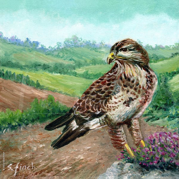 Spirit of Buzzard - Limited Edition Giclée Print