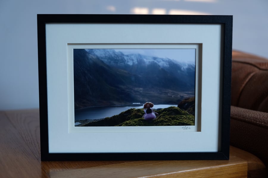 The Rambling Fairy Framed Photographic Print