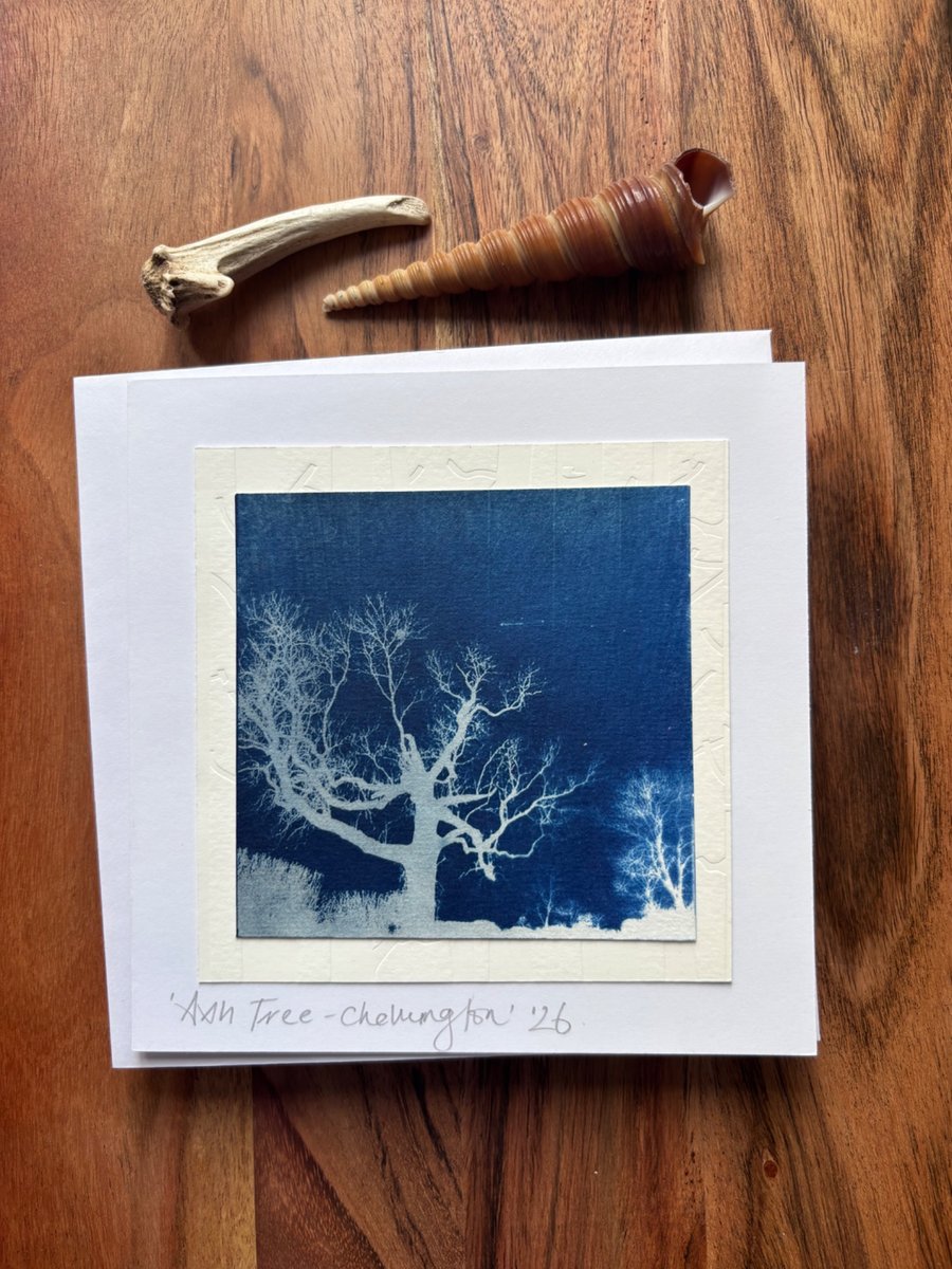 Winter Ash Tree -  Cyanotype Card with envelope