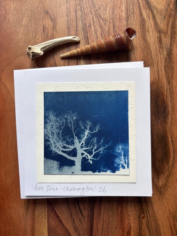 Winter Ash Tree -  Cyanotype Card with envelope