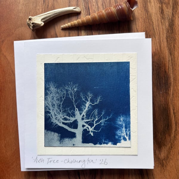 Winter Ash Tree -  Cyanotype Card with envelope