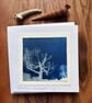 Winter Ash Tree -  Cyanotype Card with envelope