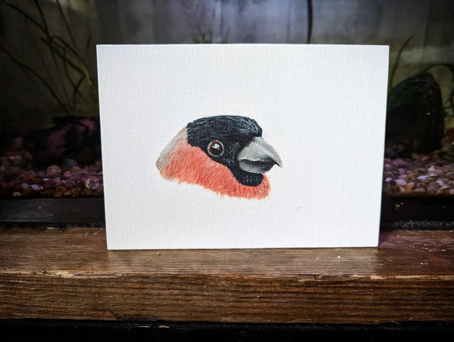 Male Bullfinch Portrait Painting 