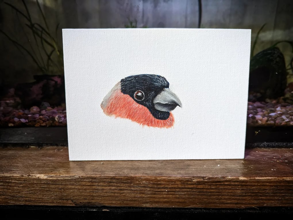Male Bullfinch Portrait Painting 