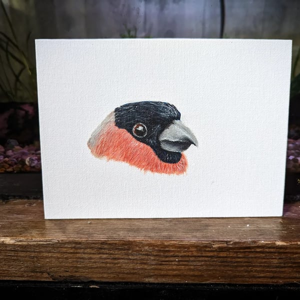 Male Bullfinch Portrait Painting 