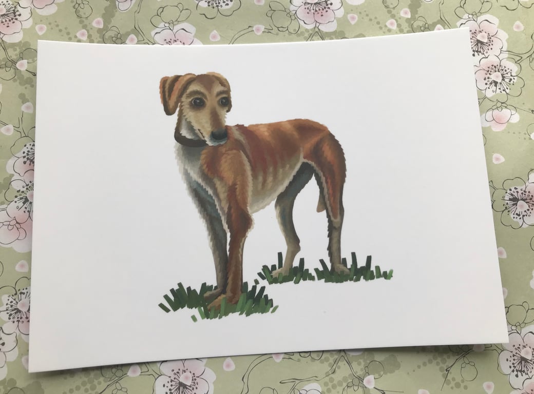 Standing Lurcher post card
