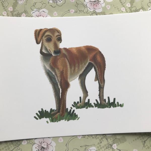 Standing Lurcher post card