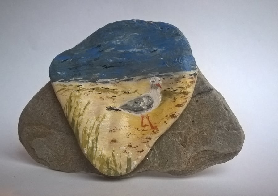 seagull painted shell