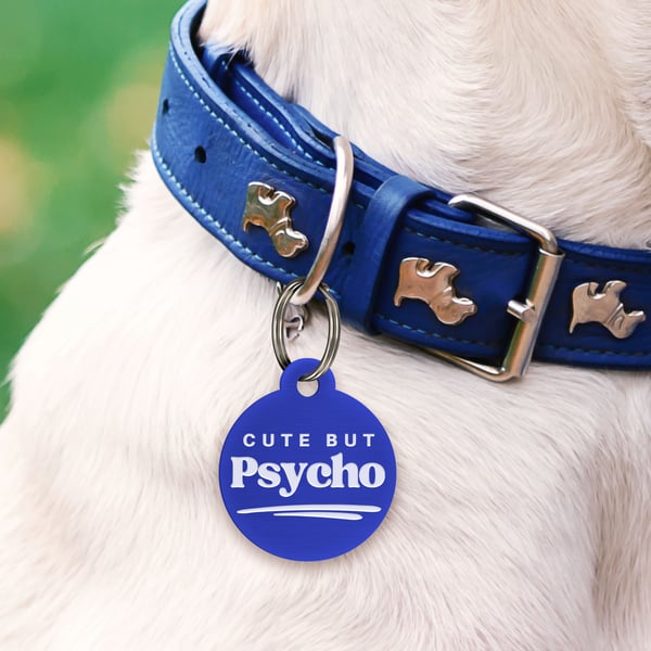 Cute But Psycho - Classic: Personalised Dog ID Collar Funny Custom Tag