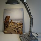 A one of a kind industrial desk, table lamp