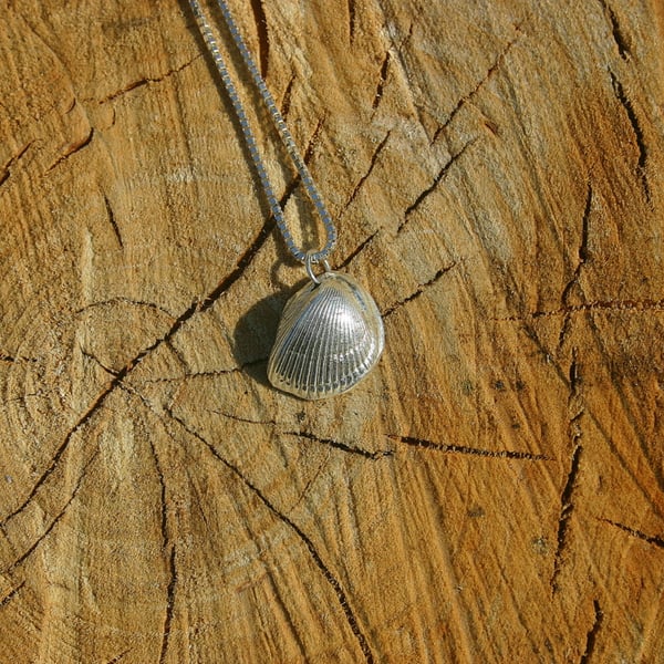 Fine Silver Sea Shell Charm on a sterling silver box chain