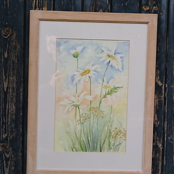 White Daisies with cow parsley in Norfolk watercolour painting