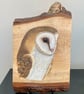 Barn owl original painting on oak wood