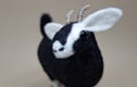Felted Sculptures