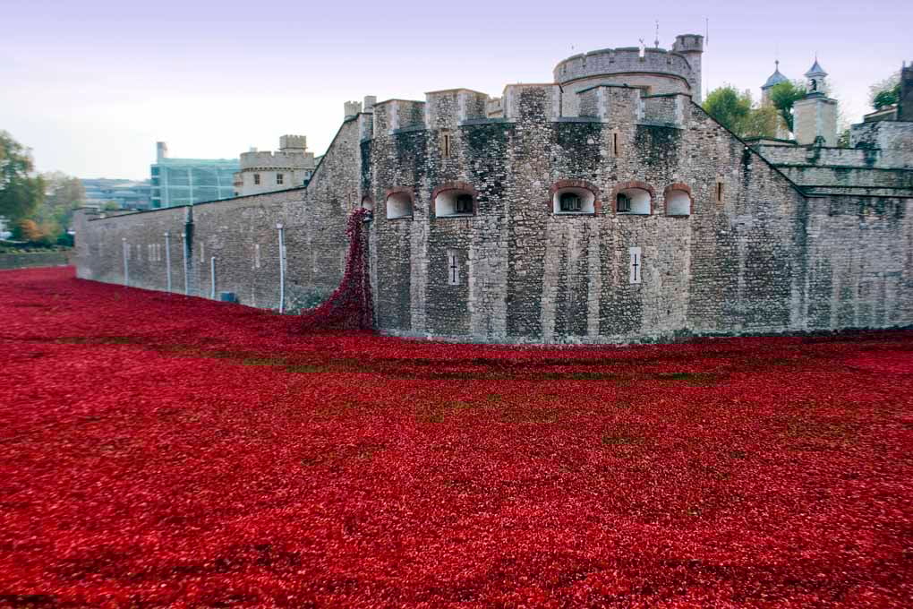 Tower Of London Poppies Red Poppy Photograph Print