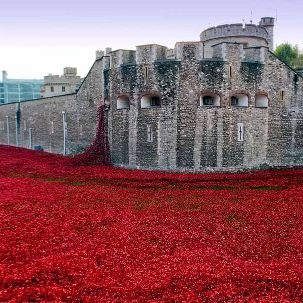 Tower Of London Poppies Red Poppy Photograph Print