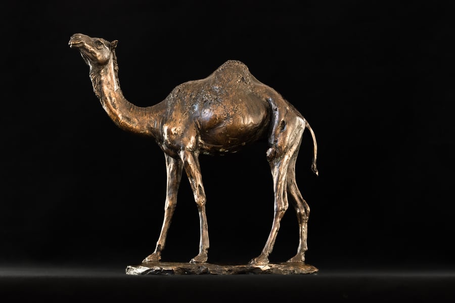 Camel Statue Foundry Bronze Dromedary Arabian Camel Sculpture 