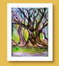 "Where the trees listen"    - Image 7